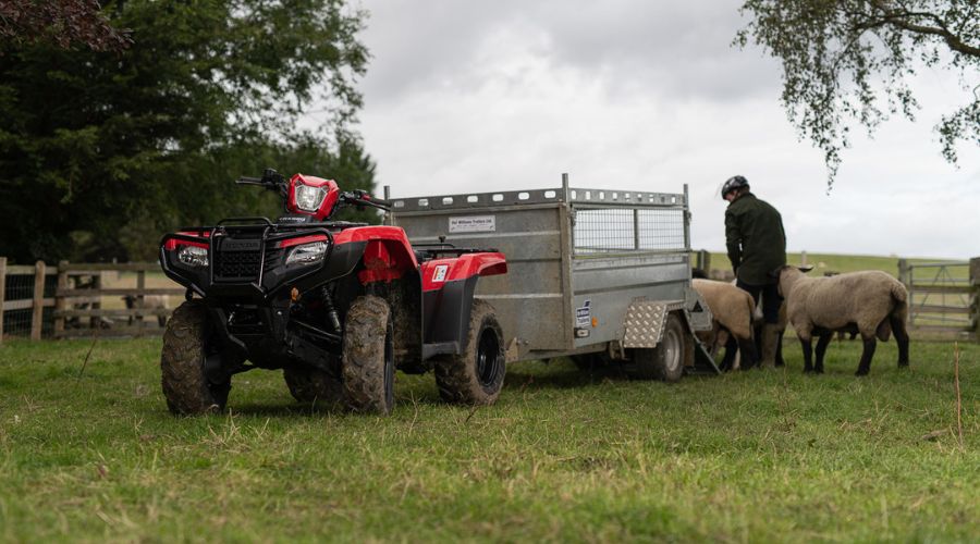 Honda TRX420 with sheep trailer