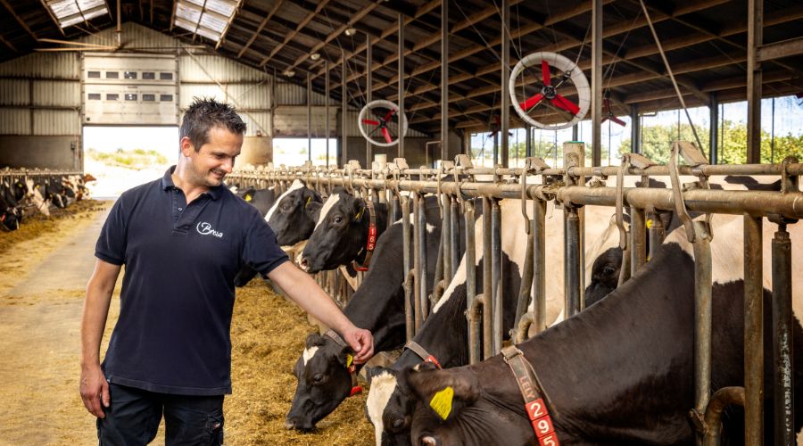 Man in cowshed pictured under Vosterman Multifan AirBreeze product