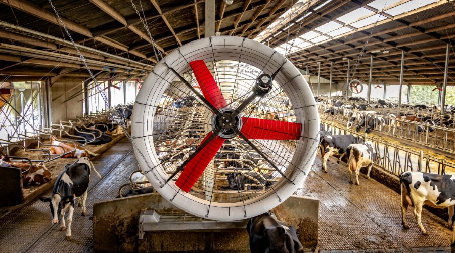Close up of Vostermans Mulitfan AirBreeze system in a cowshed