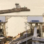 There are widespread concerns that limited biosecurity checks at the Port of Dover may pose severe risks to UK livestock and plants.