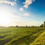 rolling countryside views