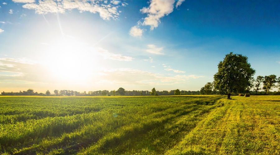 Getting numbers right: Why year-end and budget planning matter