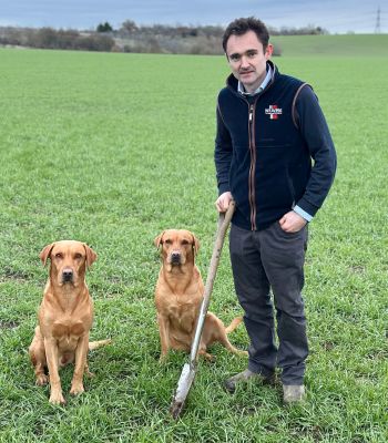 Simon Weaving from Weaving Machinery and two dogs in a field
