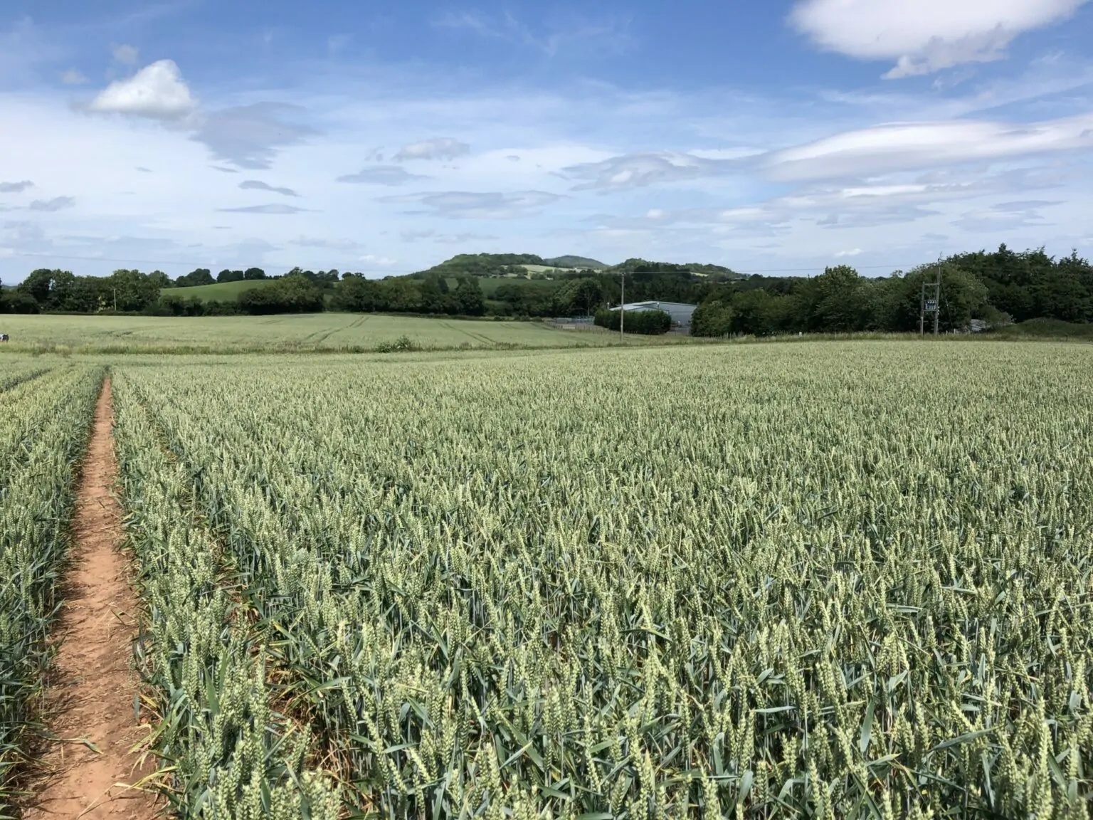 Yield improvements were seen at a Claydon-drilled farm in Worcestershire.